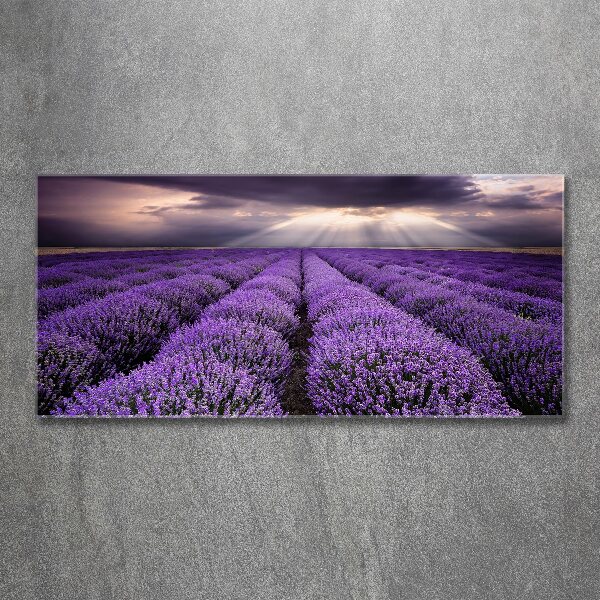 Cuadro acrílico horizontal campo de lavanda