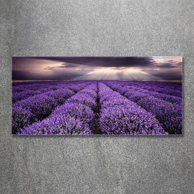 Cuadro acrílico horizontal campo de lavanda