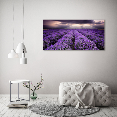 Cuadro acrílico horizontal campo de lavanda