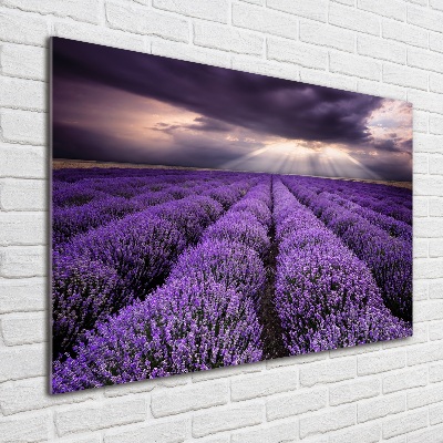 Cuadro acrílico horizontal campo de lavanda