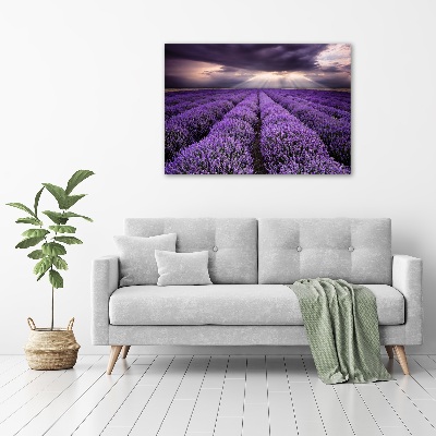 Cuadro acrílico horizontal campo de lavanda