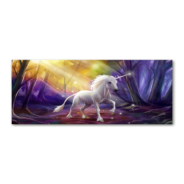 Foto en metacrilato horizontal Unicornio