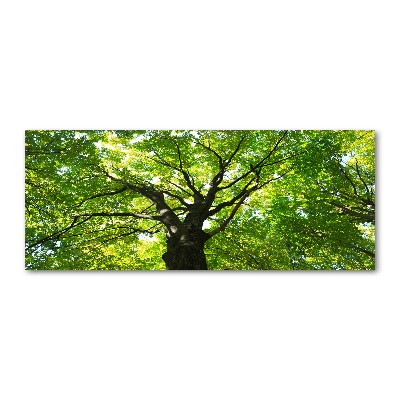 Cuadro metacrilato horizontal Bosque verde