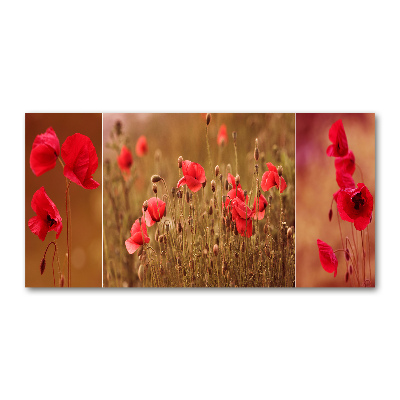 Foto en metacrilato horizontal Tríptico de amapolas