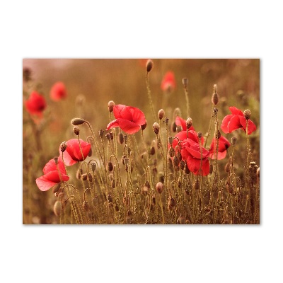 Foto en metacrilato horizontal Tríptico de amapolas