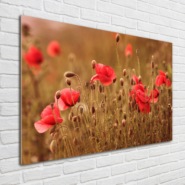 Foto en metacrilato horizontal Tríptico de amapolas