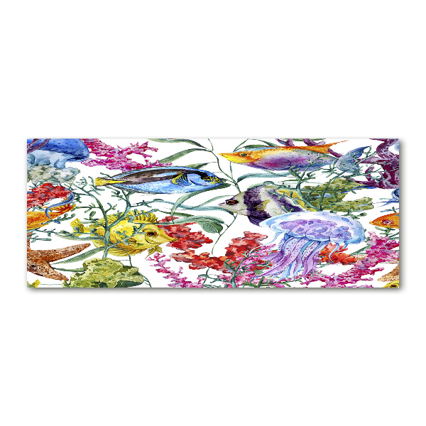 Cuadro metacrilato horizontal Arrecife de coral