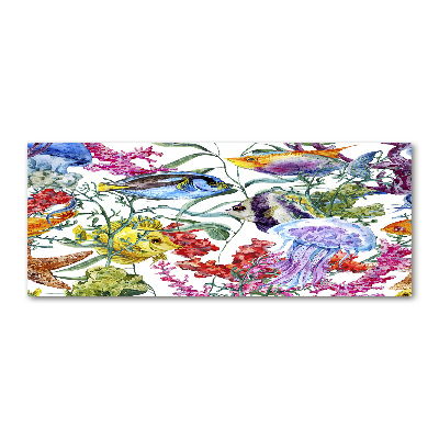 Cuadro metacrilato horizontal Arrecife de coral