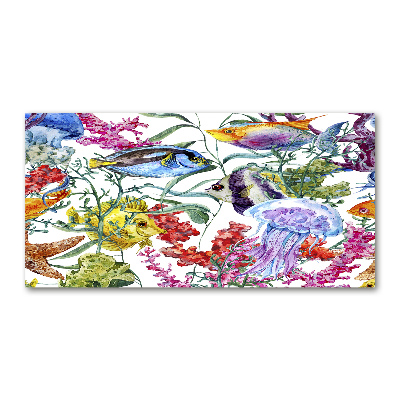 Cuadro metacrilato horizontal Arrecife de coral