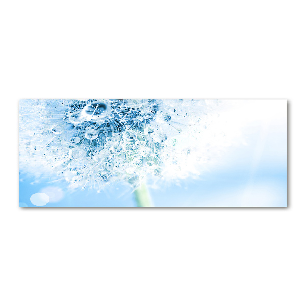 Cuadro metacrilato horizontal Diente de león