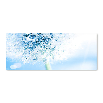 Cuadro metacrilato horizontal Diente de león