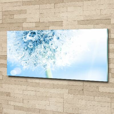 Cuadro metacrilato horizontal Diente de león