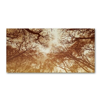 Cuadro metacrilato horizontal Bosque