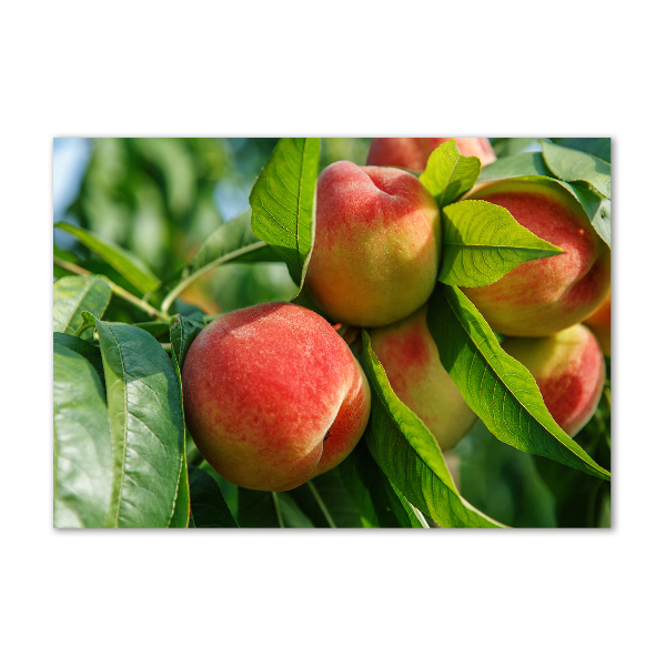 Cuadro acrílico horizontal Melocotones