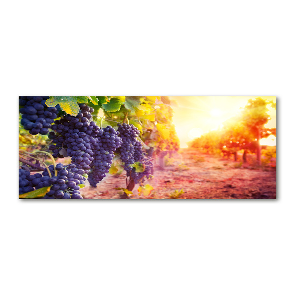 Foto en metacrilato horizontal Vides