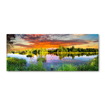 Foto obraz szkło akryl Rzeka w lesie