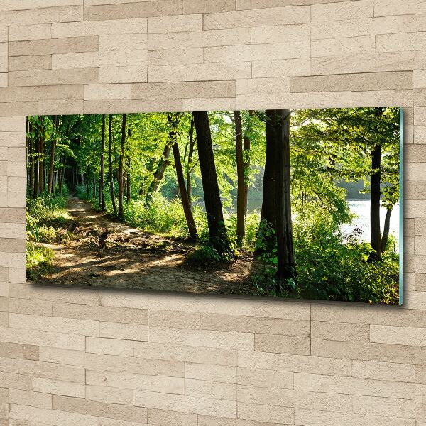 Foto en metacrilato horizontal Camino en el prado