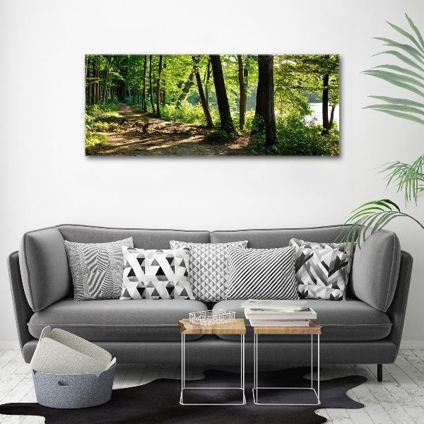 Foto obraz szkło akryl Ścieżka na łące