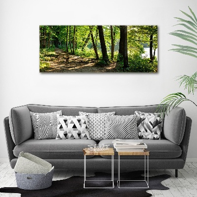 Foto en metacrilato horizontal Camino en el prado