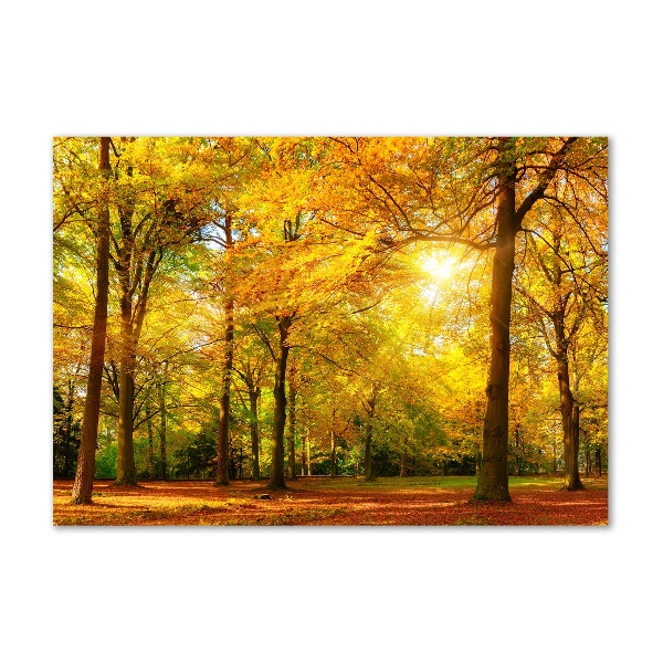 Pintura en acrílico horizontal Bosque en otoño