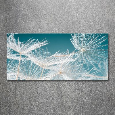 Cuadro metacrilato horizontal semillas de diente de león