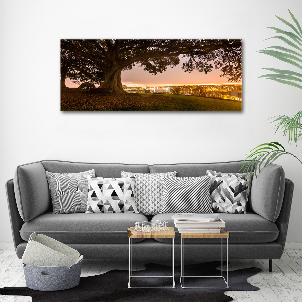 Cuadro metacrilato horizontal Árbol viejo