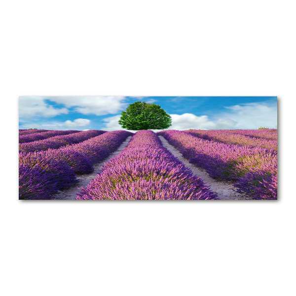 Foto en metacrilato horizontal campo de lavanda