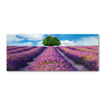 Foto en metacrilato horizontal campo de lavanda