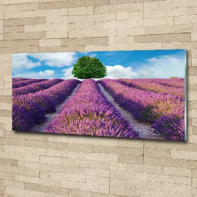 Foto en metacrilato horizontal campo de lavanda