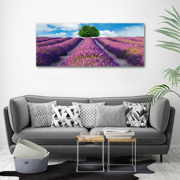 Foto en metacrilato horizontal campo de lavanda