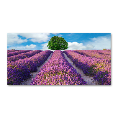 Foto en metacrilato horizontal campo de lavanda