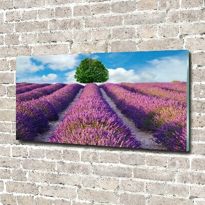 Foto en metacrilato horizontal campo de lavanda