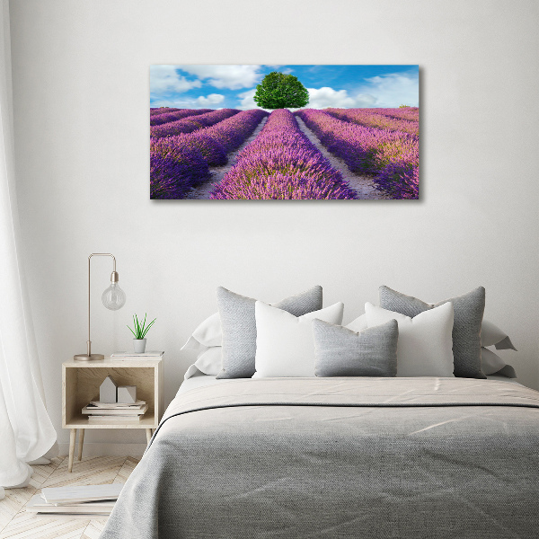 Foto en metacrilato horizontal campo de lavanda