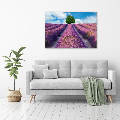 Foto en metacrilato horizontal campo de lavanda