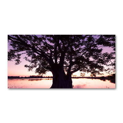 Foto en metacrilato horizontal Árbol y lago