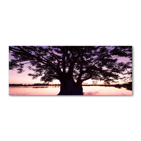 Foto en metacrilato horizontal Árbol y lago