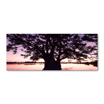 Foto en metacrilato horizontal Árbol y lago
