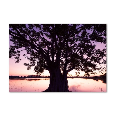 Foto en metacrilato horizontal Árbol y lago