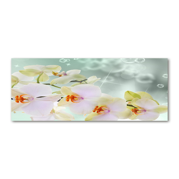 Cuadro metacrilato horizontal Orquídea blanca