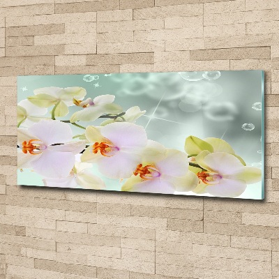 Cuadro metacrilato horizontal Orquídea blanca