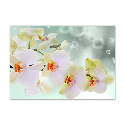 Cuadro metacrilato horizontal Orquídea blanca