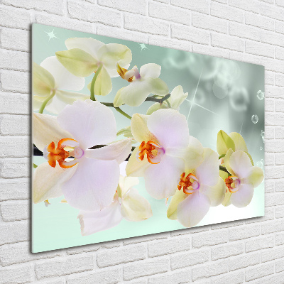 Cuadro metacrilato horizontal Orquídea blanca