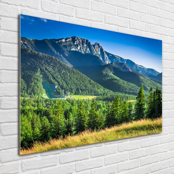 Pintura en acrílico horizontal Salto de esquí en los montes Tatra