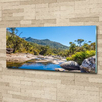 Cuadro metacrilato horizontal Río en el bosque