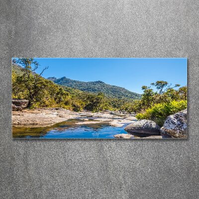 Cuadro metacrilato horizontal Río en el bosque