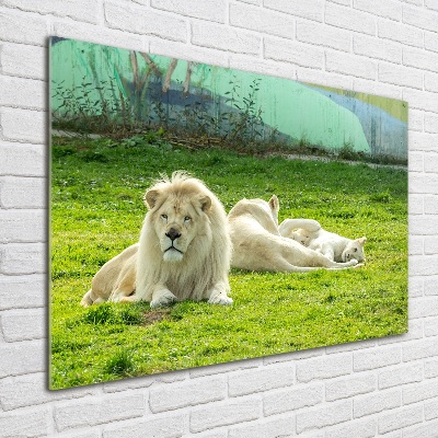 Cuadro metacrilato horizontal Leones beige
