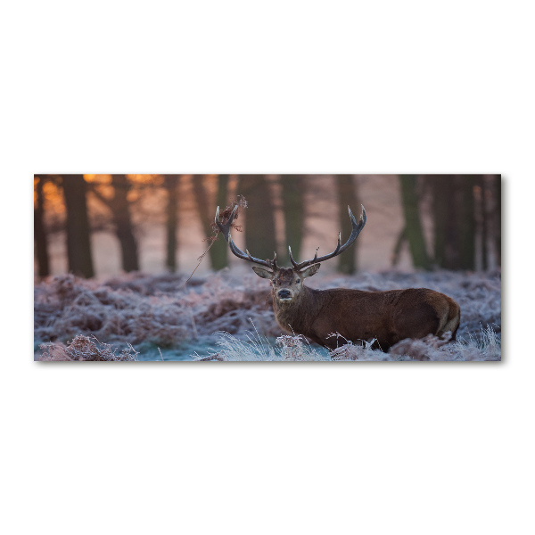 Cuadro acrílico horizontal Ciervos al amanecer