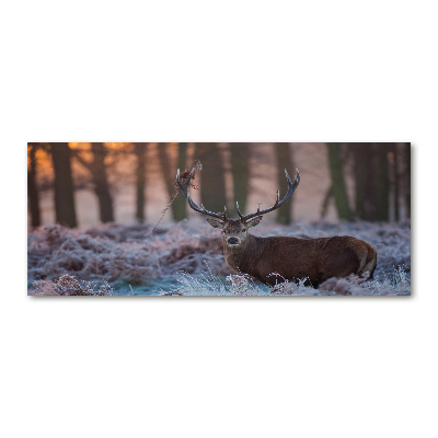 Cuadro acrílico horizontal Ciervos al amanecer