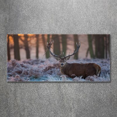 Cuadro acrílico horizontal Ciervos al amanecer