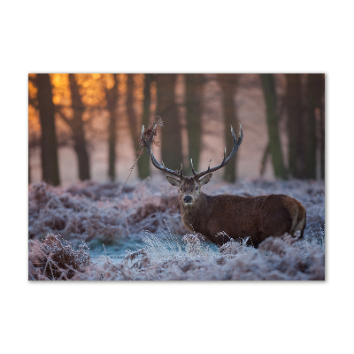Cuadro acrílico horizontal Ciervos al amanecer